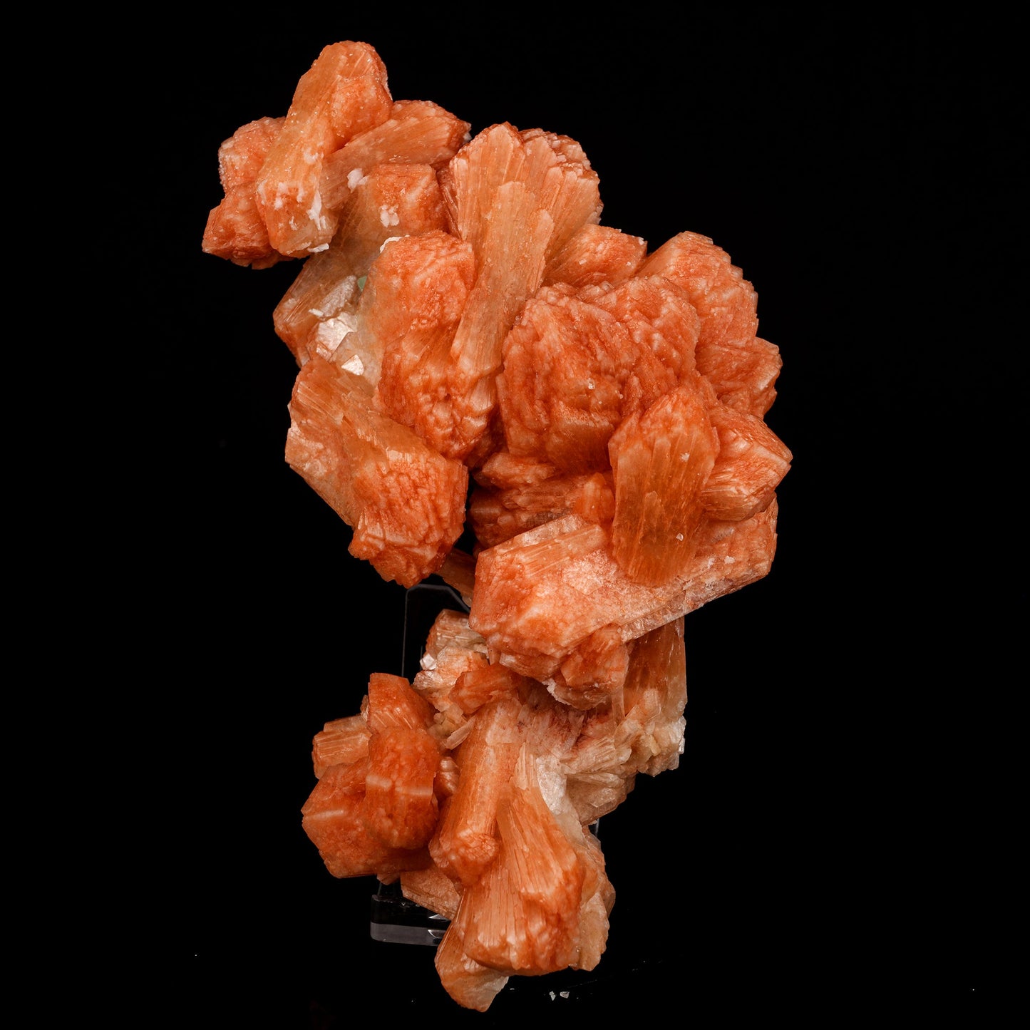 Stilbite Red Natural Mineral Specimen # B 5833 Stilbite Superb Minerals 