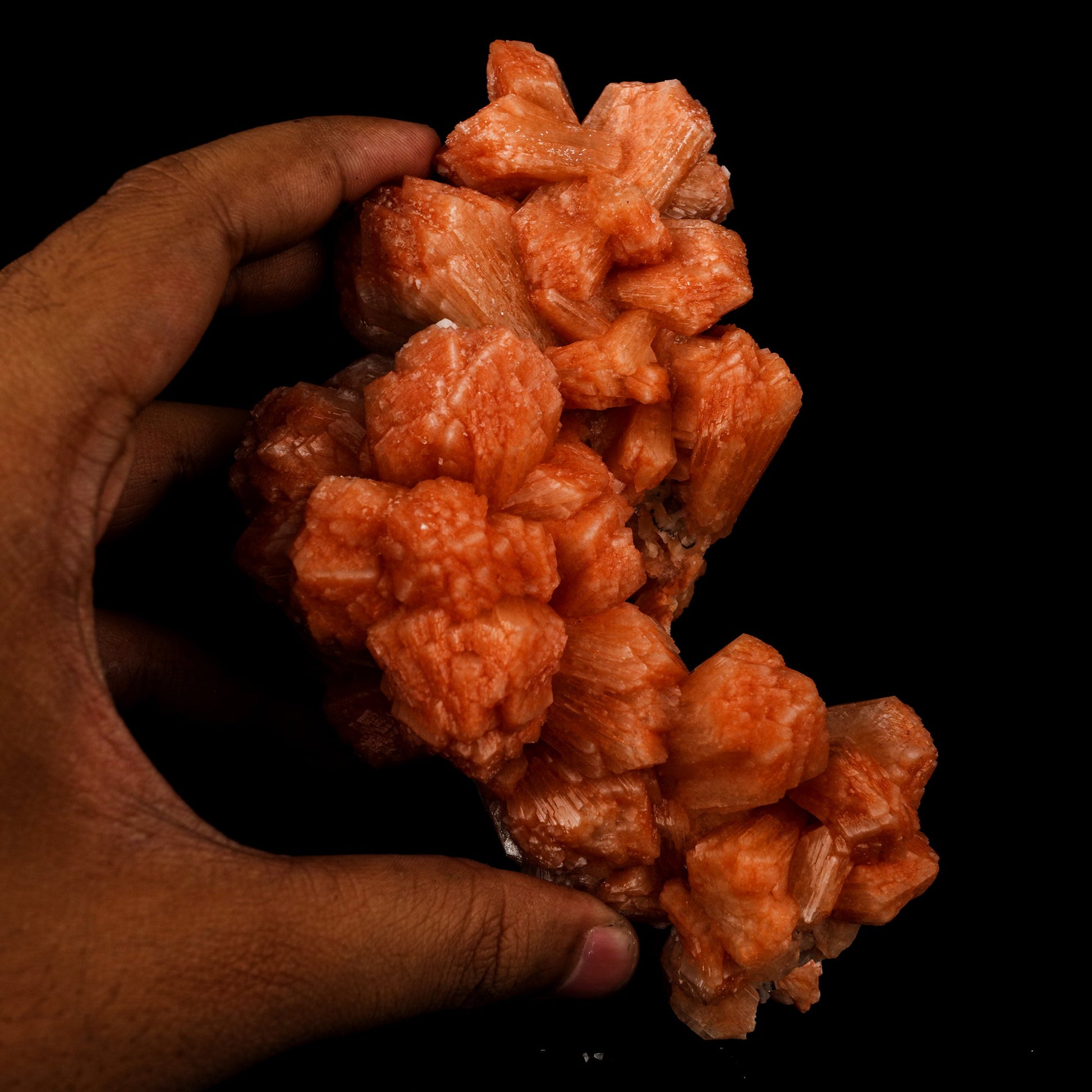 Stilbite Red Natural Mineral Specimen # B 5833 Stilbite Superb Minerals 