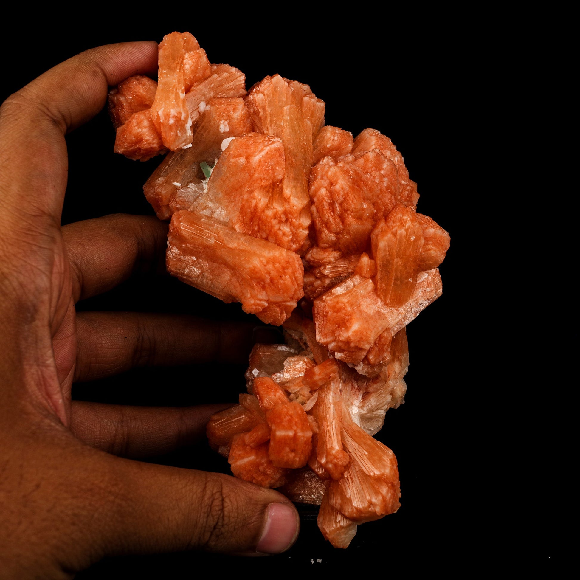 Stilbite Red Natural Mineral Specimen # B 5833 Stilbite Superb Minerals 