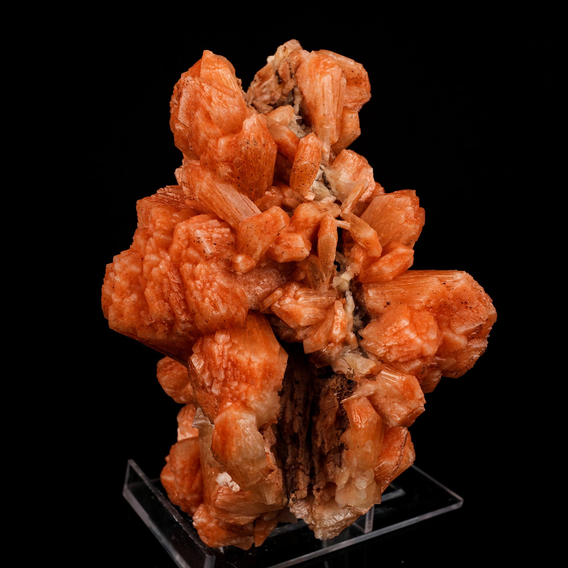 Stilbite Red Natural Mineral Specimen # B 5851 Stilbite Superb Minerals 