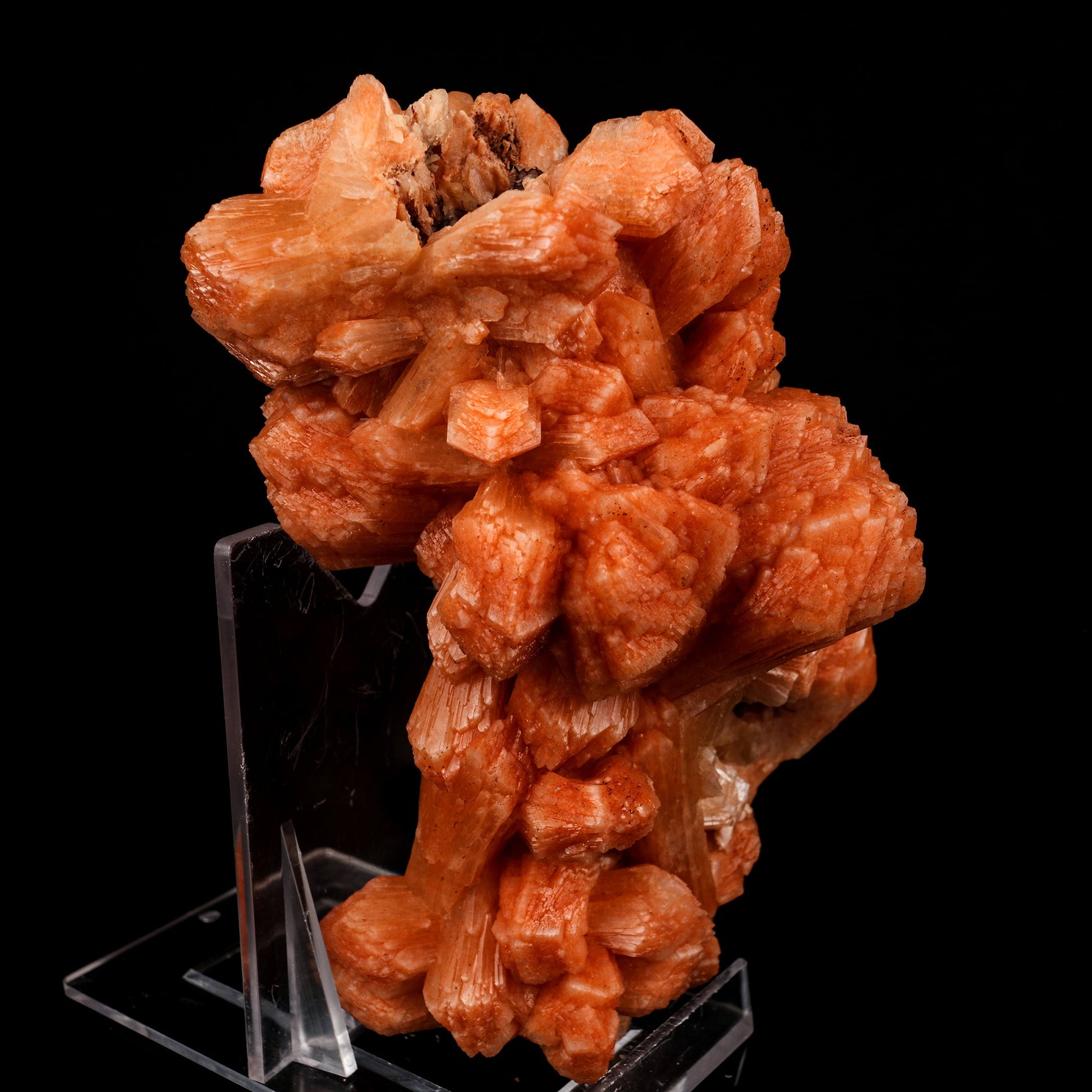 Stilbite Red Natural Mineral Specimen # B 5851 Stilbite Superb Minerals 