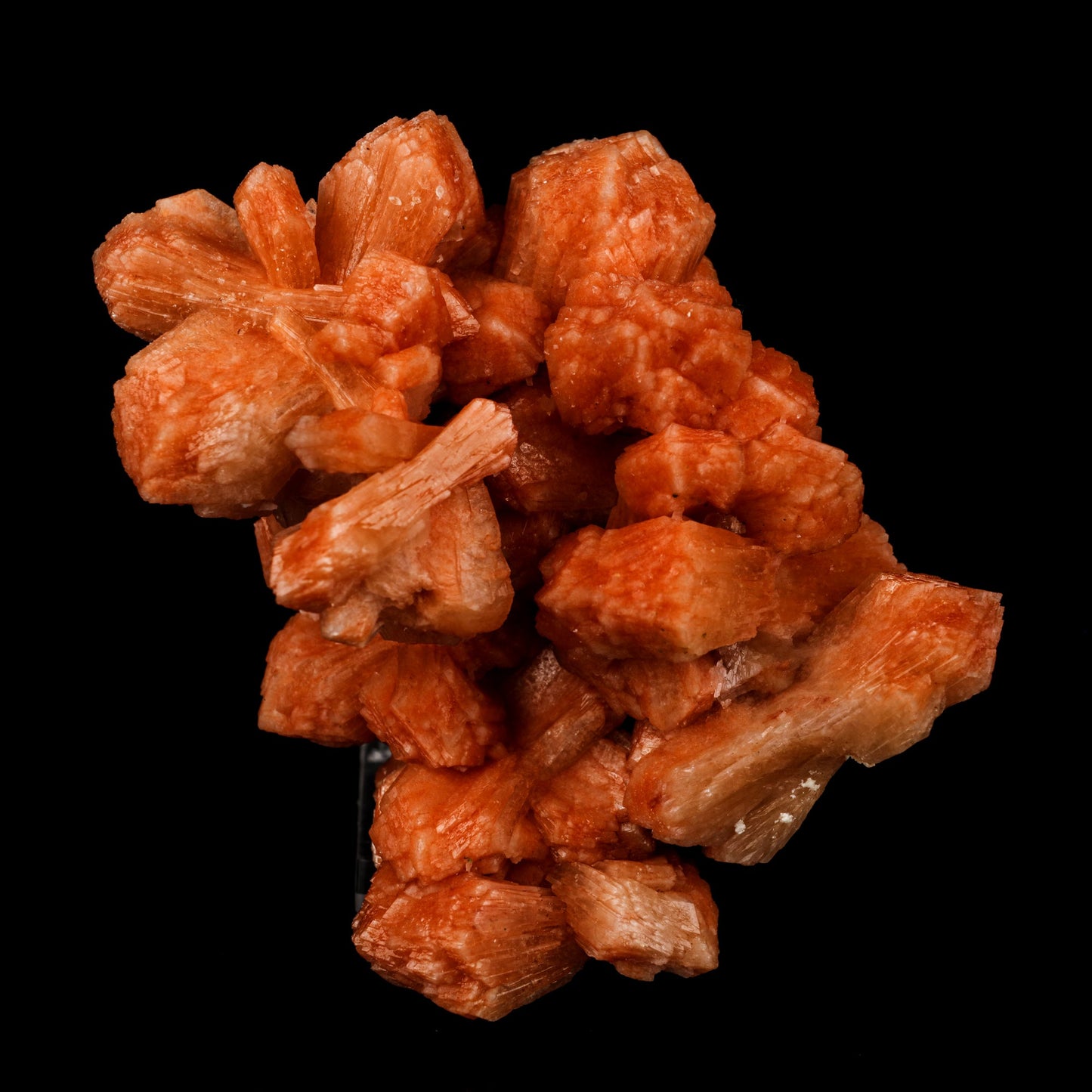 Stilbite Red Natural Mineral Specimen # B 5895 Stilbite Superb Minerals 