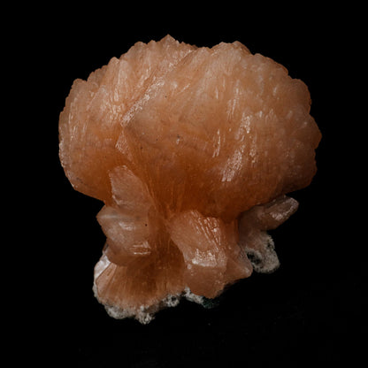 Stilbite Twin Terminated Natural Mineral Specimen # B 5153  https://www.superbminerals.us/products/stilbite-twin-terminated-natural-mineral-specimen-b-5153  Features: This stilbite "bow tie" is beautiful, glossy, translucent, salmon pink.The shape and colour are stunning! As a species, it's quite common, and in classic bowtie shape, it's quite typical; a one-of-a-kind specimen for display purposes. Primary Mineral(s): Stilbite Secondary Mineral(s): N/AMatrix: Chalcedony