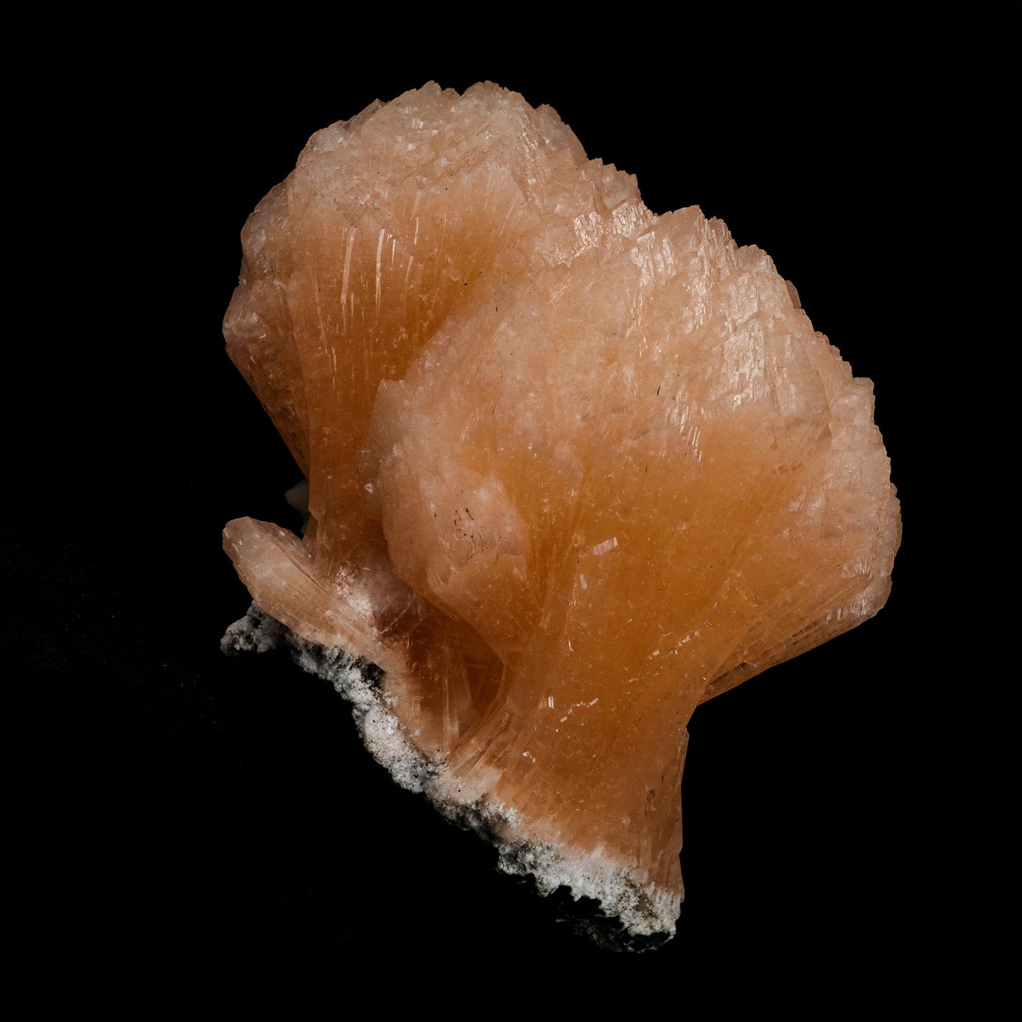 Stilbite Twin Terminated Natural Mineral Specimen # B 5153  https://www.superbminerals.us/products/stilbite-twin-terminated-natural-mineral-specimen-b-5153  Features: This stilbite "bow tie" is beautiful, glossy, translucent, salmon pink.The shape and colour are stunning! As a species, it's quite common, and in classic bowtie shape, it's quite typical; a one-of-a-kind specimen for display purposes. Primary Mineral(s): Stilbite Secondary Mineral(s): N/AMatrix: Chalcedony