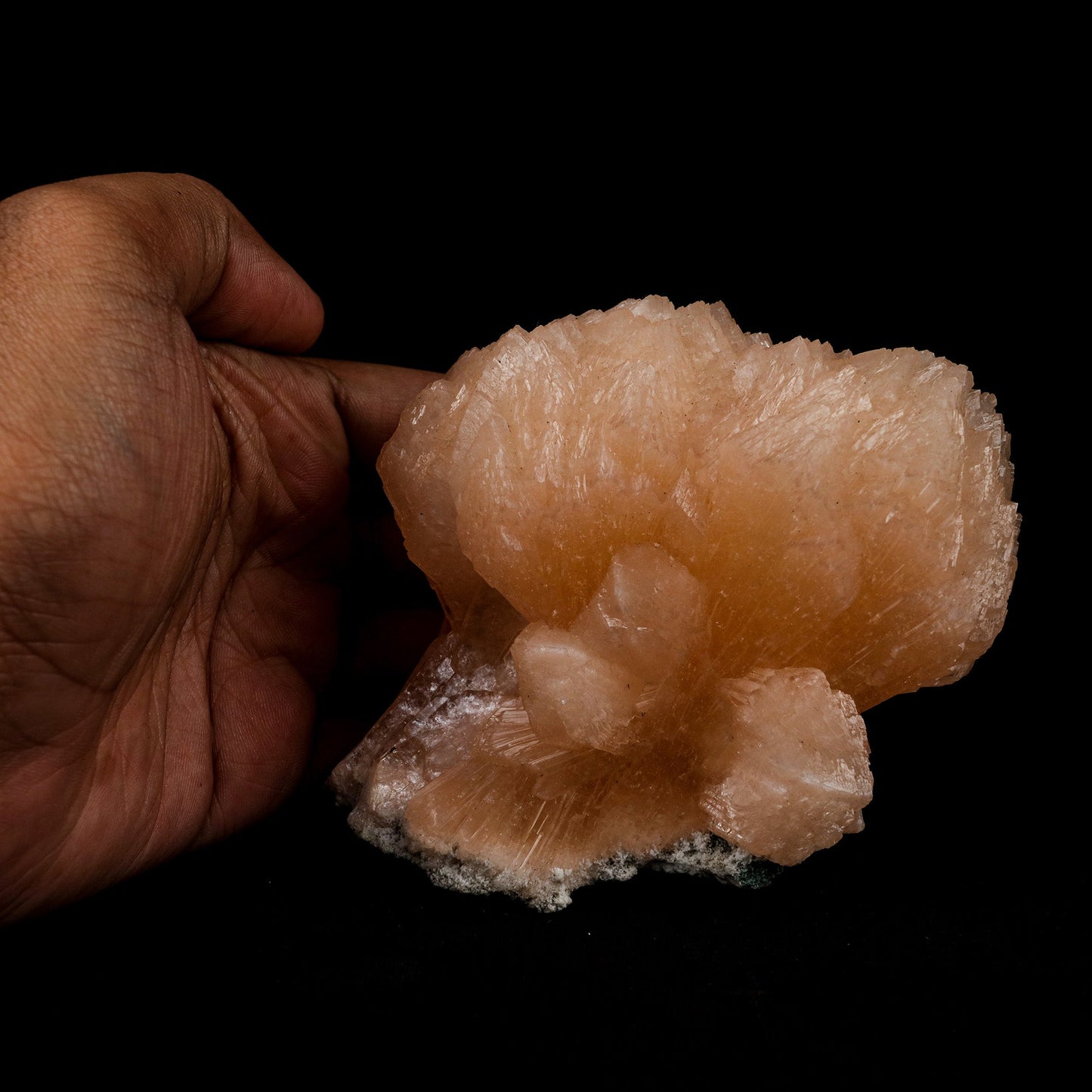 Stilbite Twin Terminated Natural Mineral Specimen # B 5153  https://www.superbminerals.us/products/stilbite-twin-terminated-natural-mineral-specimen-b-5153  Features: This stilbite "bow tie" is beautiful, glossy, translucent, salmon pink.The shape and colour are stunning! As a species, it's quite common, and in classic bowtie shape, it's quite typical; a one-of-a-kind specimen for display purposes. Primary Mineral(s): Stilbite Secondary Mineral(s): N/AMatrix: Chalcedony