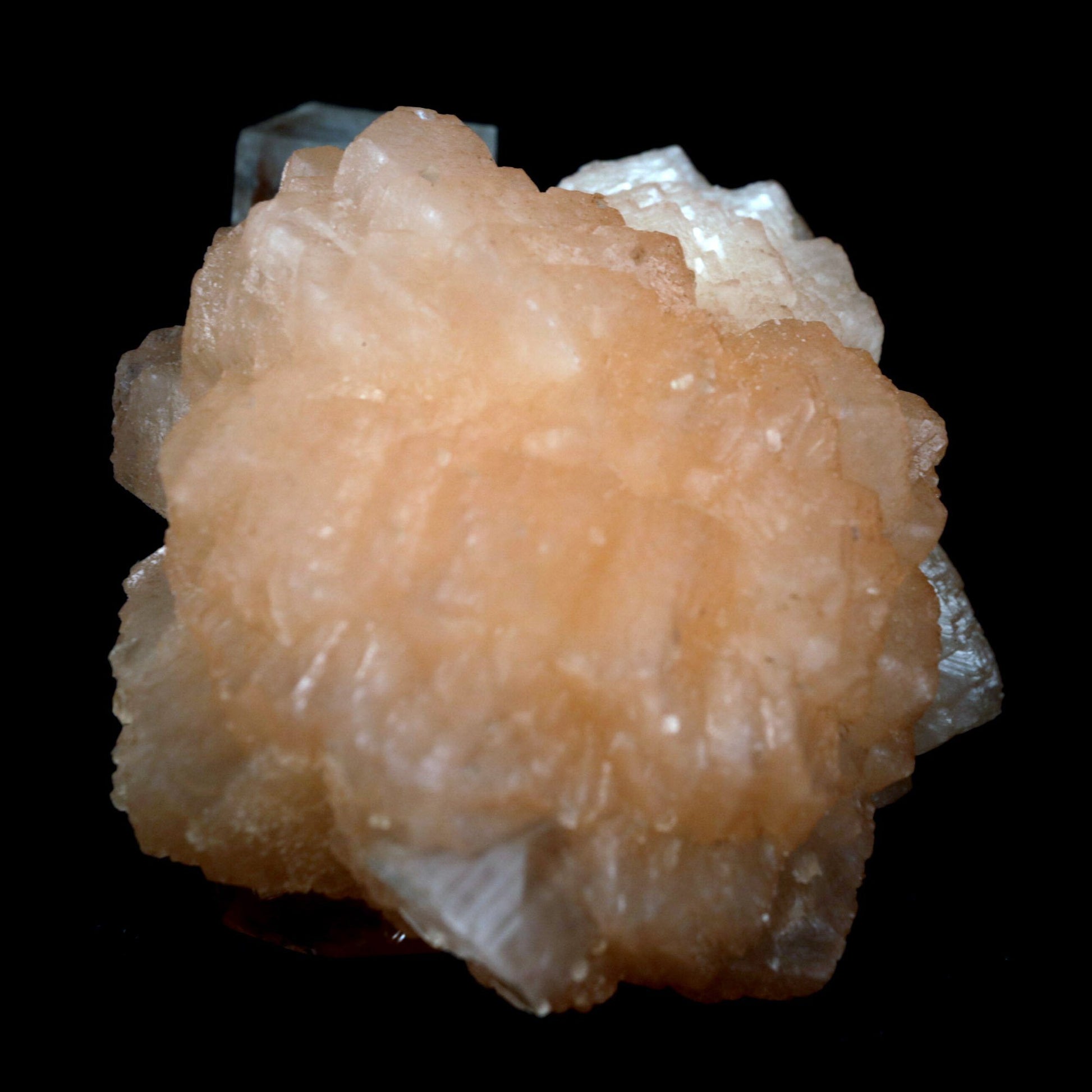 Stilbite with Apophyllite on Chalcedony Natural Mineral Specimen # B …  https://www.superbminerals.us/products/stilbite-with-apophyllite-on-chalcedony-natural-mineral-specimen-b-4800  Features: An impressive doubly terminated, lustrous salmon-pink bladed stilbite bowtie, nicely accented with side car crystals, is dramatically set on the thin basalt crust on this beautifully sculptural small cabinet from recent finds in Jalgaon. The secondary doubly terminated stilbite. Small stilbite and smaller
