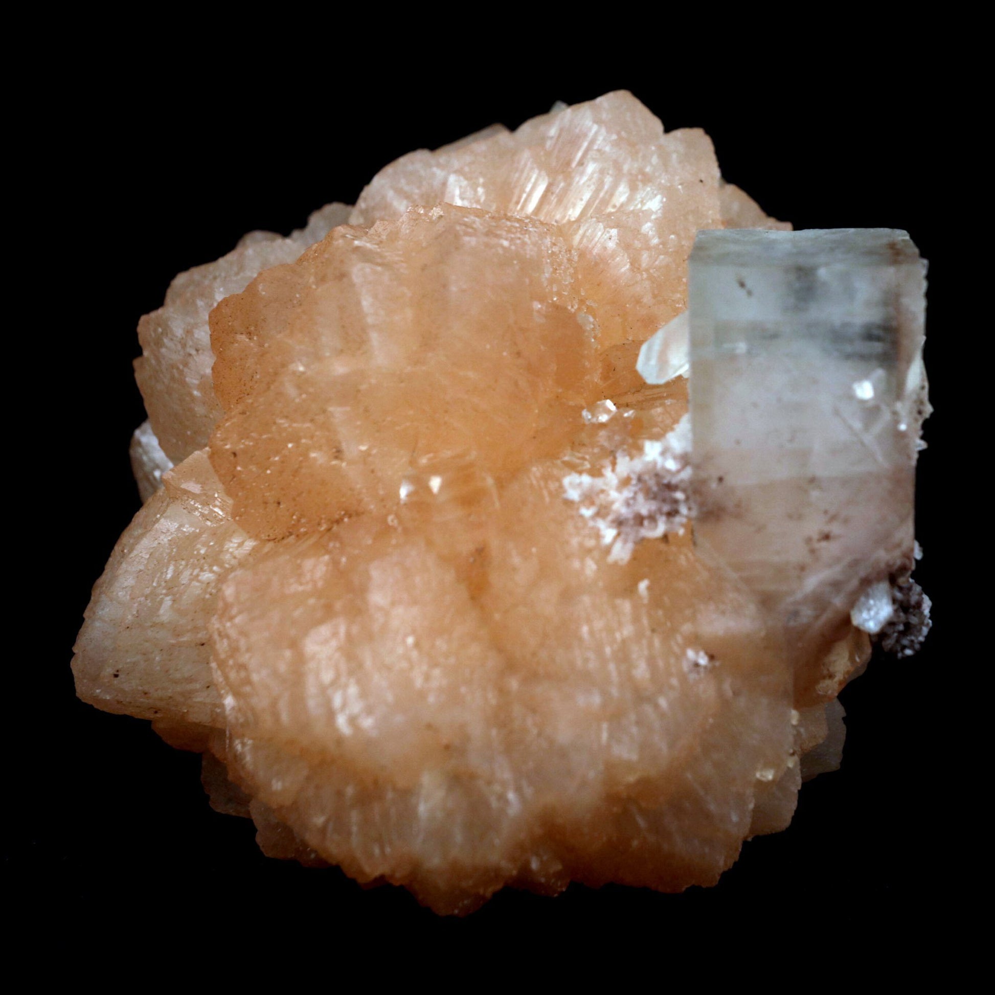 Stilbite with Apophyllite on Chalcedony Natural Mineral Specimen # B …  https://www.superbminerals.us/products/stilbite-with-apophyllite-on-chalcedony-natural-mineral-specimen-b-4800  Features: An impressive doubly terminated, lustrous salmon-pink bladed stilbite bowtie, nicely accented with side car crystals, is dramatically set on the thin basalt crust on this beautifully sculptural small cabinet from recent finds in Jalgaon. The secondary doubly terminated stilbite. Small stilbite and smaller