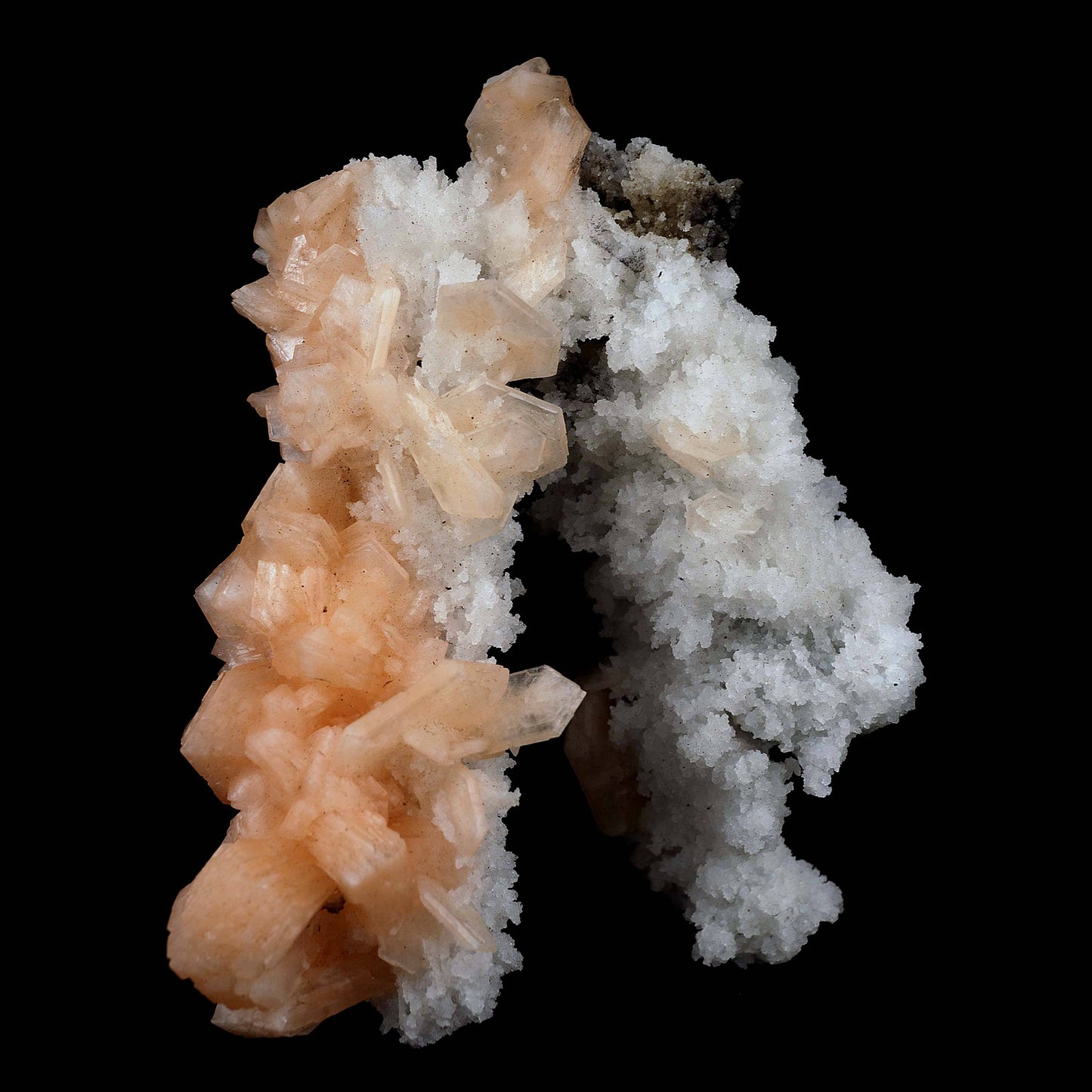 Stilbite with Chalcedony 'V' Formation Natural Mineral Specimen # B 39…  https://www.superbminerals.us/products/stilbite-with-chalcedony-v-formation-natural-mineral-specimen-b-3973  Features This intricate Chalcedony stalactite hosts red-peach Stilbite and beautifully smaller gemmy Stilbite crystal on a another part of Chalcedony contrasting matrix.&nbsp; Endless fractal adventures await! Primary Mineral(s):&nbsp; Stilbite Secondary Mineral(s): N/AMatrix: Chalcedony14 cm x 10 cm345 Gms