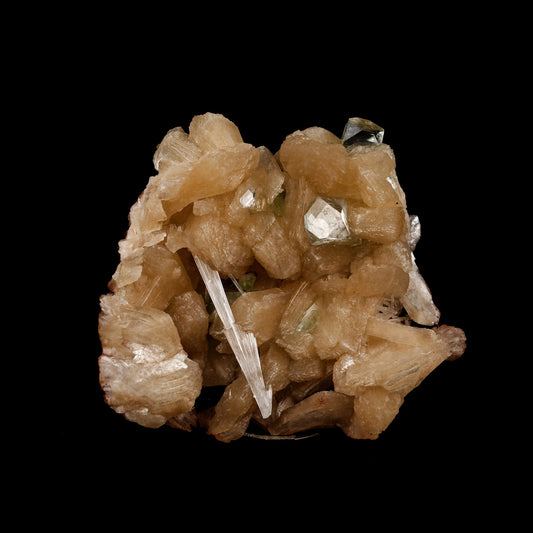 Stilbite with Scolecite Spray, Green Apophyllite Natural Mineral Speci…  https://www.superbminerals.us/products/stilbite-with-scolecite-spray-green-apophyllite-natural-mineral-specimen-b-5245  Features: Featuring numerous large, lustrous green modified cubes on a dark-brown matrix containing numerous acicular sprays of white or colorless Scolecite crystals. Primary Mineral(s): StilbiteSecondary Mineral(s): Apophyllite, ScoleciteMatrix: N/A 5 Inch x 4.5 InchWeight : 384 GmsLocality: Jalgaon