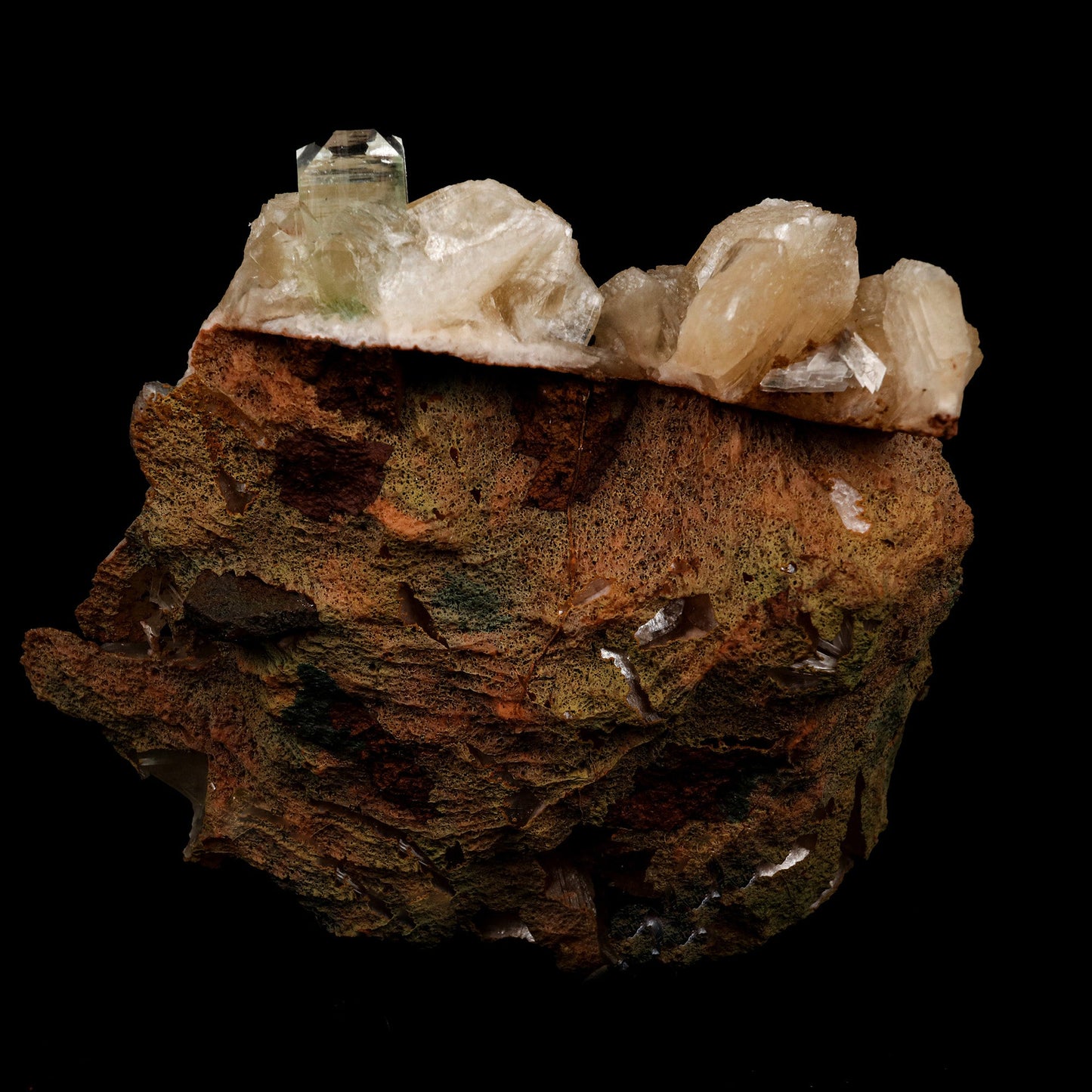 Stilbite with Scolecite Spray, Green Apophyllite Natural Mineral Speci…  https://www.superbminerals.us/products/stilbite-with-scolecite-spray-green-apophyllite-natural-mineral-specimen-b-5245  Features: Featuring numerous large, lustrous green modified cubes on a dark-brown matrix containing numerous acicular sprays of white or colorless Scolecite crystals. Primary Mineral(s): StilbiteSecondary Mineral(s): Apophyllite, ScoleciteMatrix: N/A 5 Inch x 4.5 InchWeight : 384 GmsLocality: Jalgaon