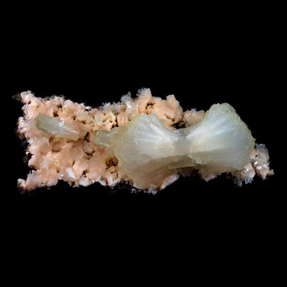 Superb Stilbite Bow-Tie on Heulandite Natural Mineral Specimen Natural…  https://www.superbminerals.us/products/copy-of-superb-stilbite-bow-tie-on-heulandite-natural-mineral-specimen-natural-mineral-specimen-b-4583  Features:A magnificent terminated stilbite bowtie with outstanding wide shape is placed artistically on the blocky basalt matrix.The many glossy bone-white bladed heulandites scattered over the matrix beautifully compliment the very lustrous, transparent, cream-colored stilbite.A very excellent