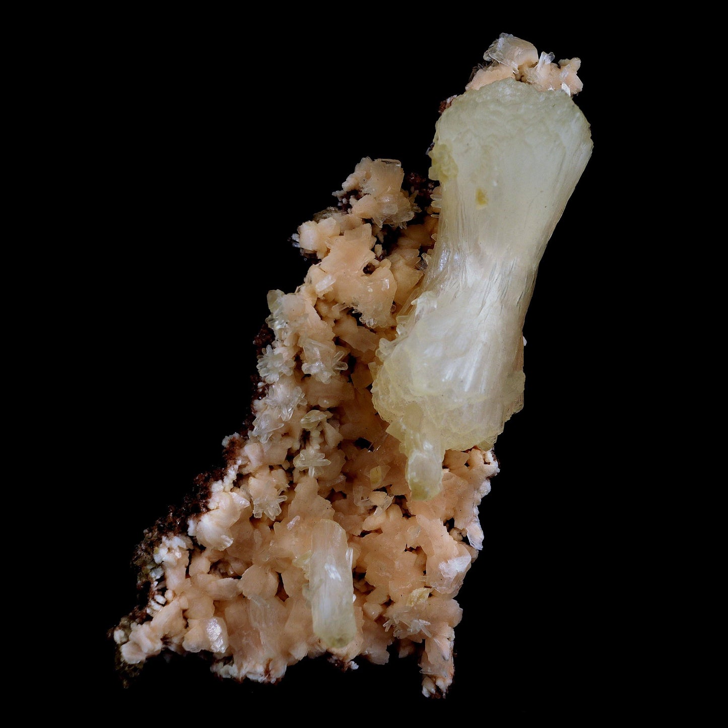 Superb Stilbite Bow-Tie on Heulandite Natural Mineral Specimen Natural…  https://www.superbminerals.us/products/copy-of-superb-stilbite-bow-tie-on-heulandite-natural-mineral-specimen-natural-mineral-specimen-b-4583  Features:A magnificent terminated stilbite bowtie with outstanding wide shape is placed artistically on the blocky basalt matrix.The many glossy bone-white bladed heulandites scattered over the matrix beautifully compliment the very lustrous, transparent, cream-colored stilbite.A very excellent