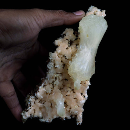 Superb Stilbite Bow-Tie on Heulandite Natural Mineral Specimen Natural…  https://www.superbminerals.us/products/copy-of-superb-stilbite-bow-tie-on-heulandite-natural-mineral-specimen-natural-mineral-specimen-b-4583  Features:A magnificent terminated stilbite bowtie with outstanding wide shape is placed artistically on the blocky basalt matrix.The many glossy bone-white bladed heulandites scattered over the matrix beautifully compliment the very lustrous, transparent, cream-colored stilbite.A very excellent