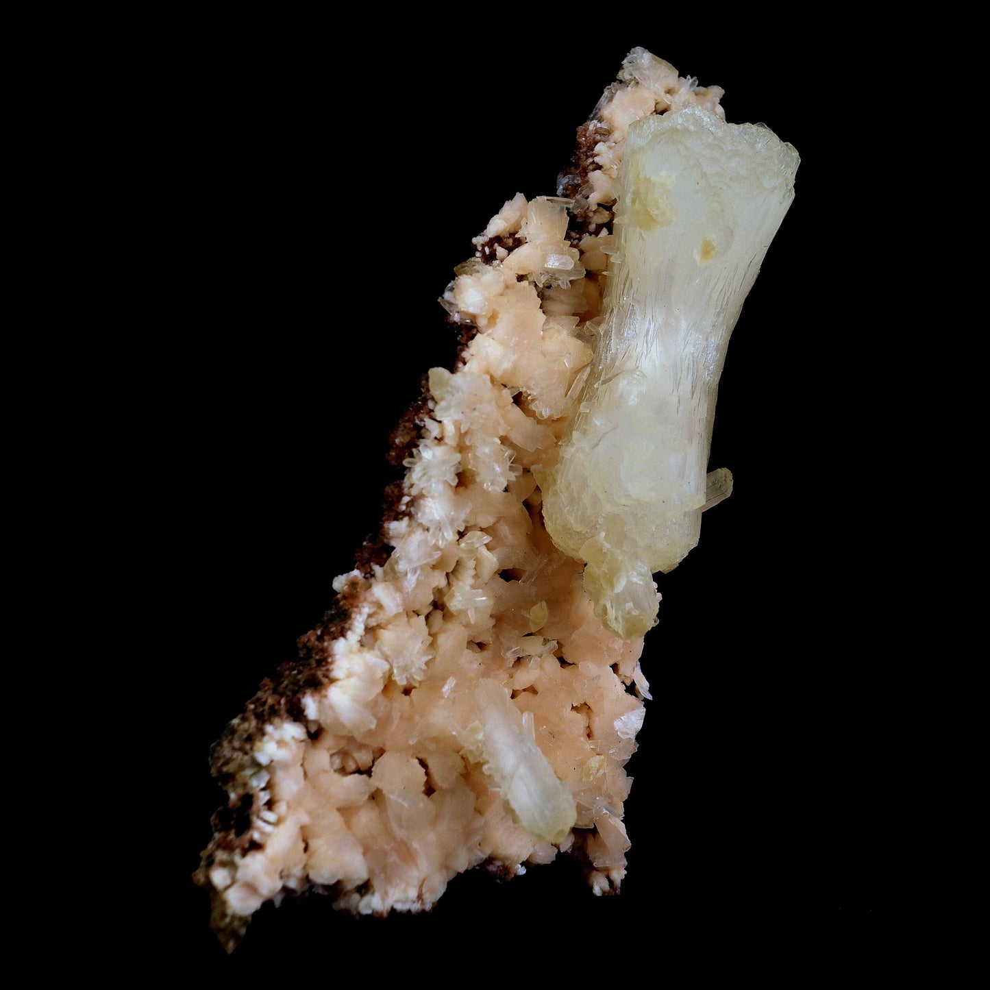 Superb Stilbite Bow-Tie on Heulandite Natural Mineral Specimen Natural…  https://www.superbminerals.us/products/copy-of-superb-stilbite-bow-tie-on-heulandite-natural-mineral-specimen-natural-mineral-specimen-b-4583  Features:A magnificent terminated stilbite bowtie with outstanding wide shape is placed artistically on the blocky basalt matrix.The many glossy bone-white bladed heulandites scattered over the matrix beautifully compliment the very lustrous, transparent, cream-colored stilbite.A very excellent