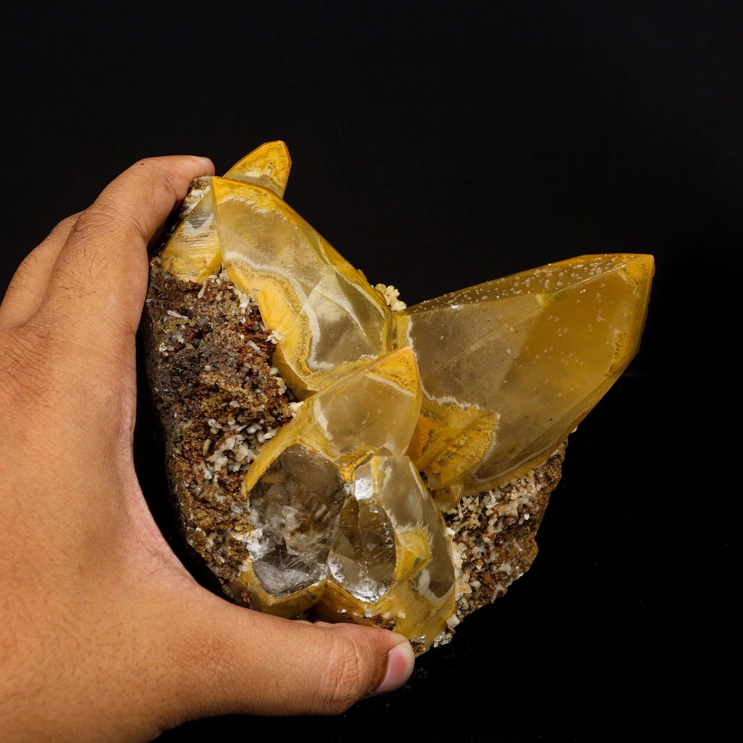 Terminated Calcite New Find Rare Natural Mineral Specimen # B 6694 Calcite Superb Minerals 