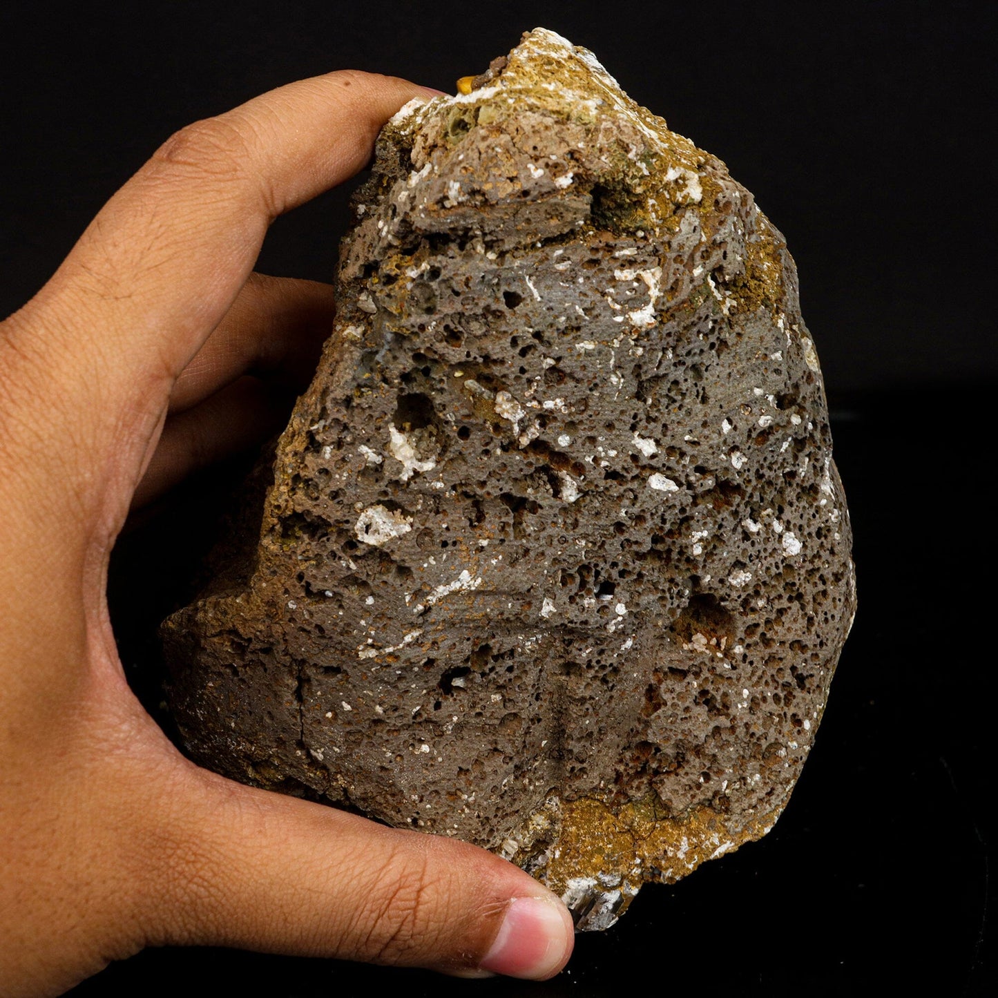 Terminated Calcite New Find Rare Natural Mineral Specimen # B 6694 Calcite Superb Minerals 