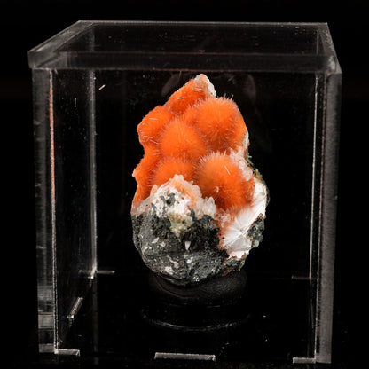 Thomsonite Deep Orange Rare, Free Standing Natural Mineral Specimen # B 6680 Thomsonite Superb Minerals 