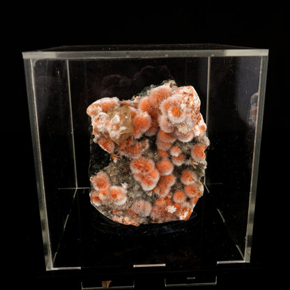 Thomsonite Orange Rare Find Free Standing Natural Mineral Specimen # B 6477 Thomsonite Superb Minerals 