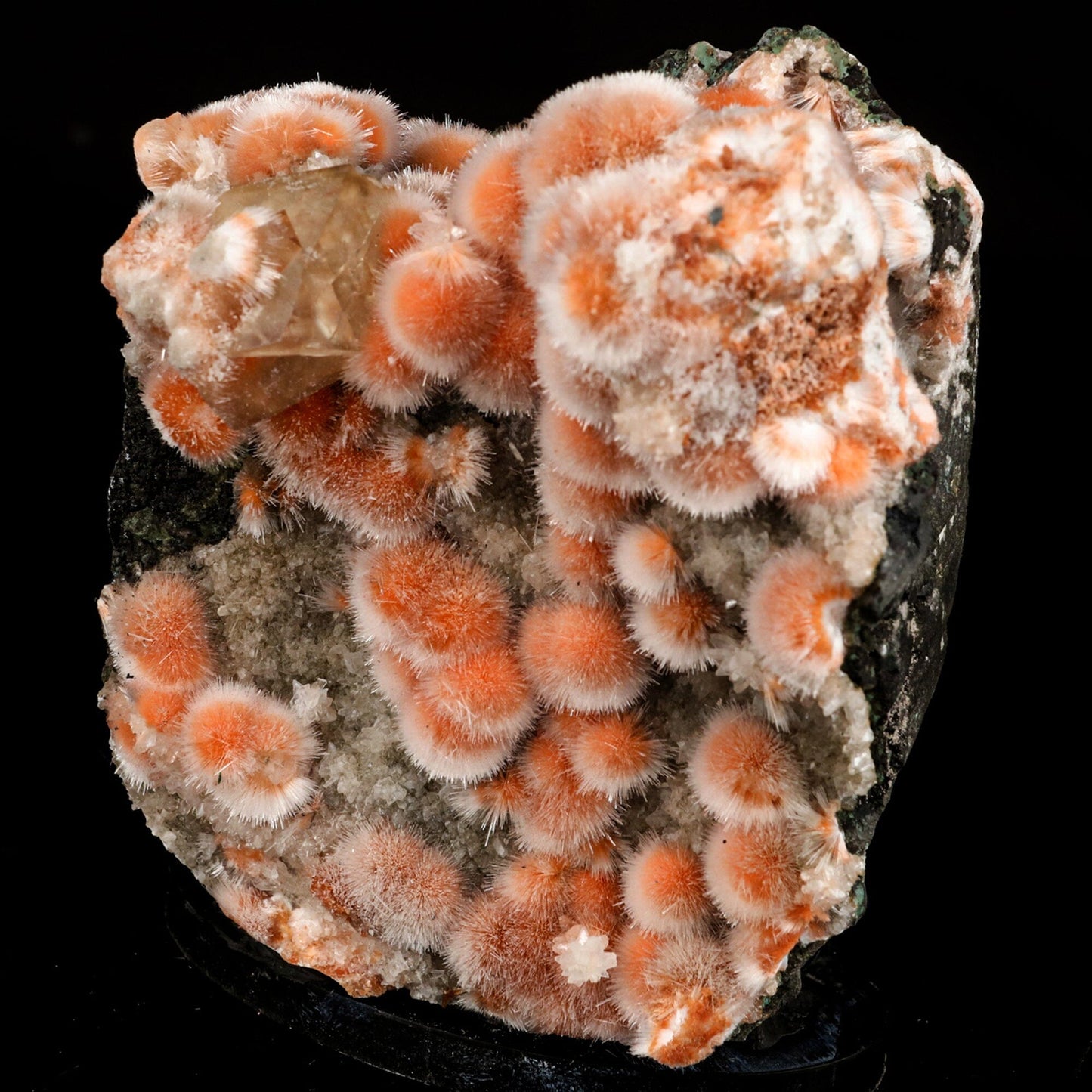 Thomsonite Orange Rare Find Free Standing Natural Mineral Specimen # B 6477 Thomsonite Superb Minerals 