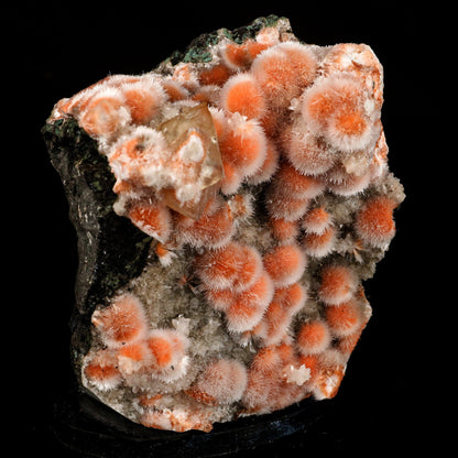 Thomsonite Orange Rare Find Free Standing Natural Mineral Specimen # B 6477 Thomsonite Superb Minerals 