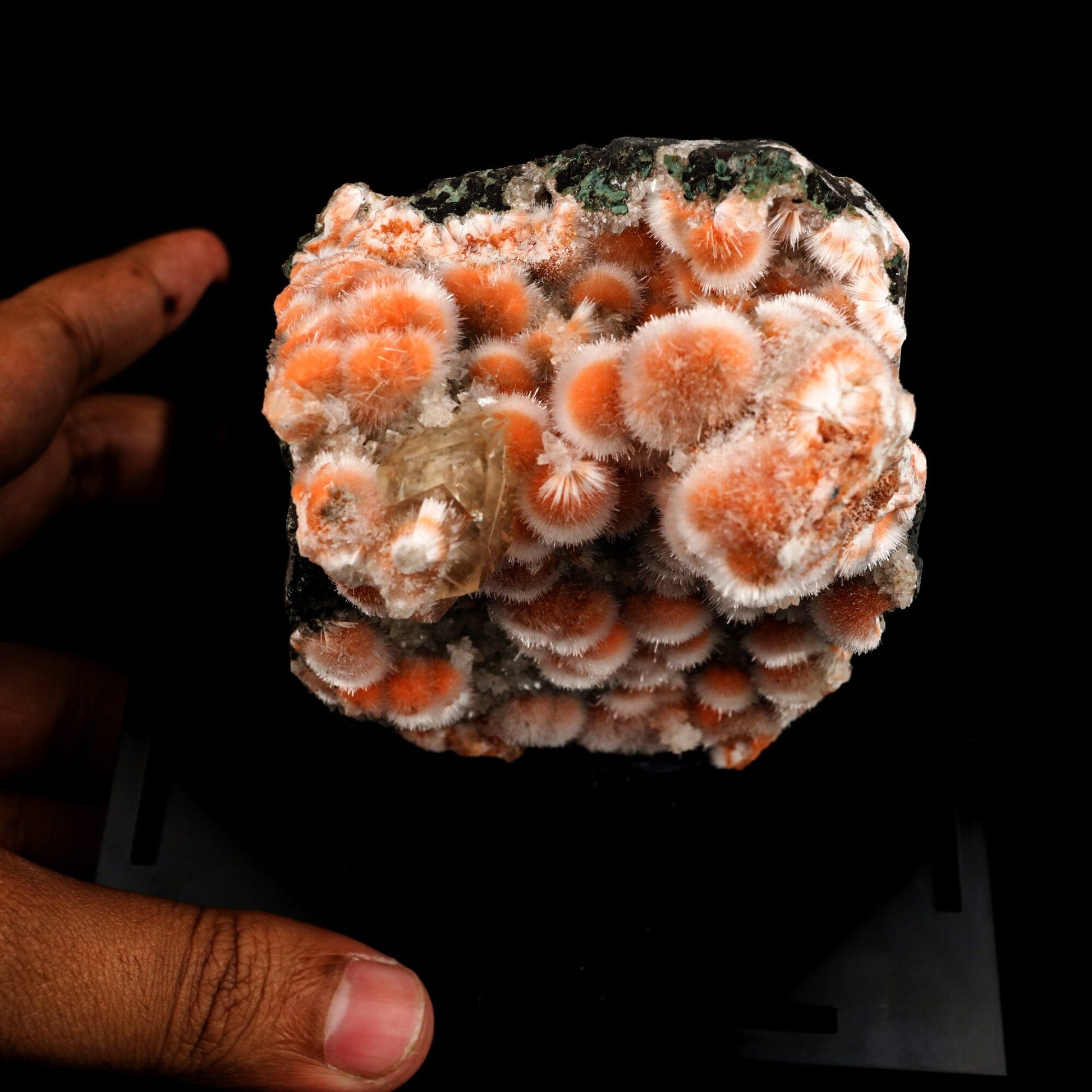 Thomsonite Orange Rare Find Free Standing Natural Mineral Specimen # B 6477 Thomsonite Superb Minerals 