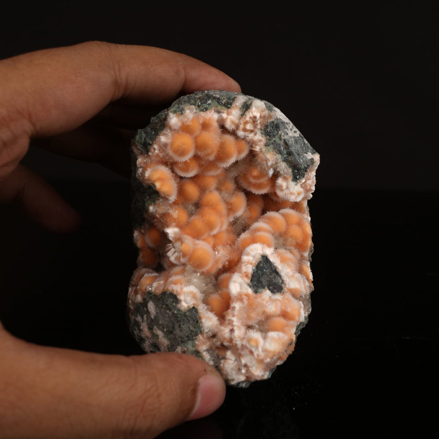 Thomsonite Orange Rare Find Free Standing Natural Mineral Specimen # B 6629 Thomsonite Superb Minerals 