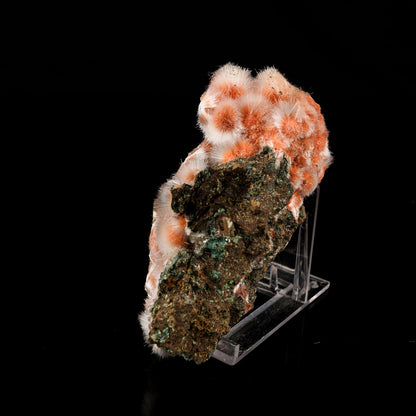 Thomsonite Orange Rare Find Natural Mineral Specimen # B 6076 Thomsonite Superb Minerals 