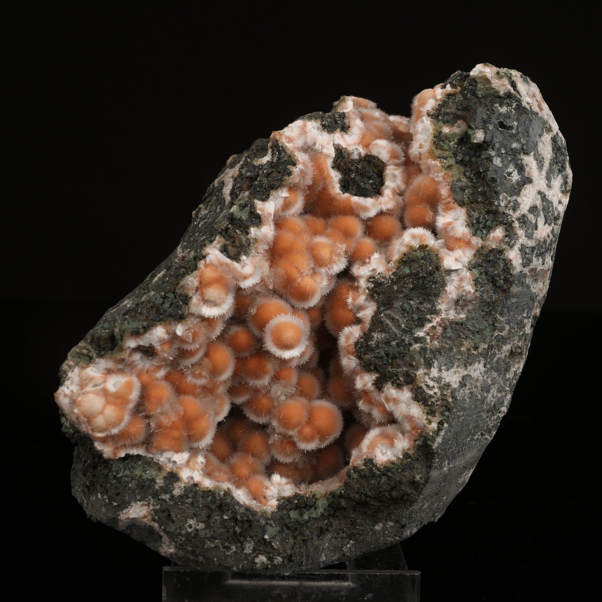 Thomsonite Orange Rare Find Natural Mineral Specimen # B 6631 Thomsonite Superb Minerals 