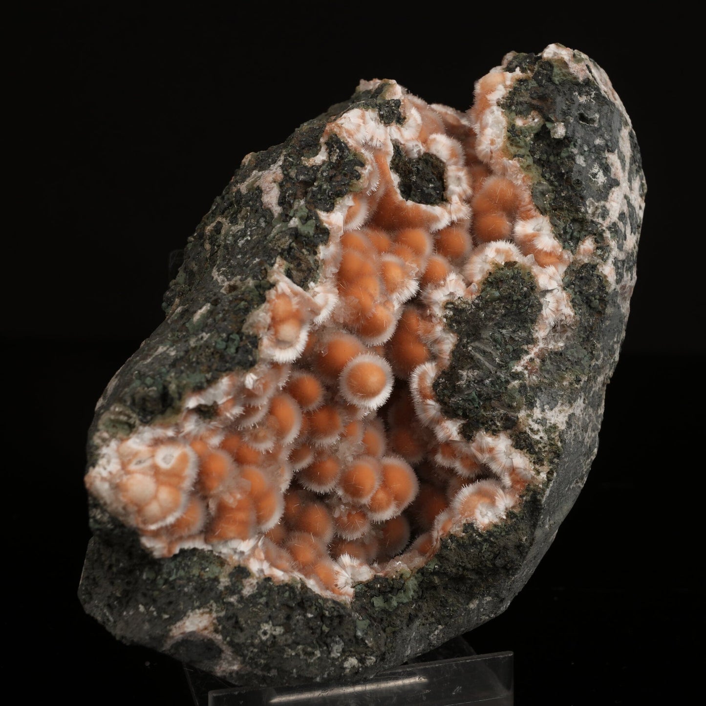 Thomsonite Orange Rare Find Natural Mineral Specimen # B 6631 Thomsonite Superb Minerals 
