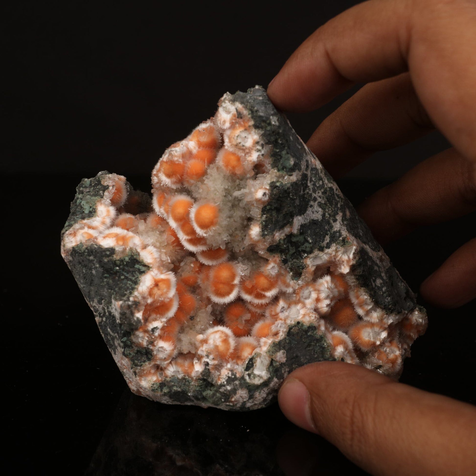 Thomsonite Orange Rare Find Natural Mineral Specimen # B 6633 Thomsonite Superb Minerals 