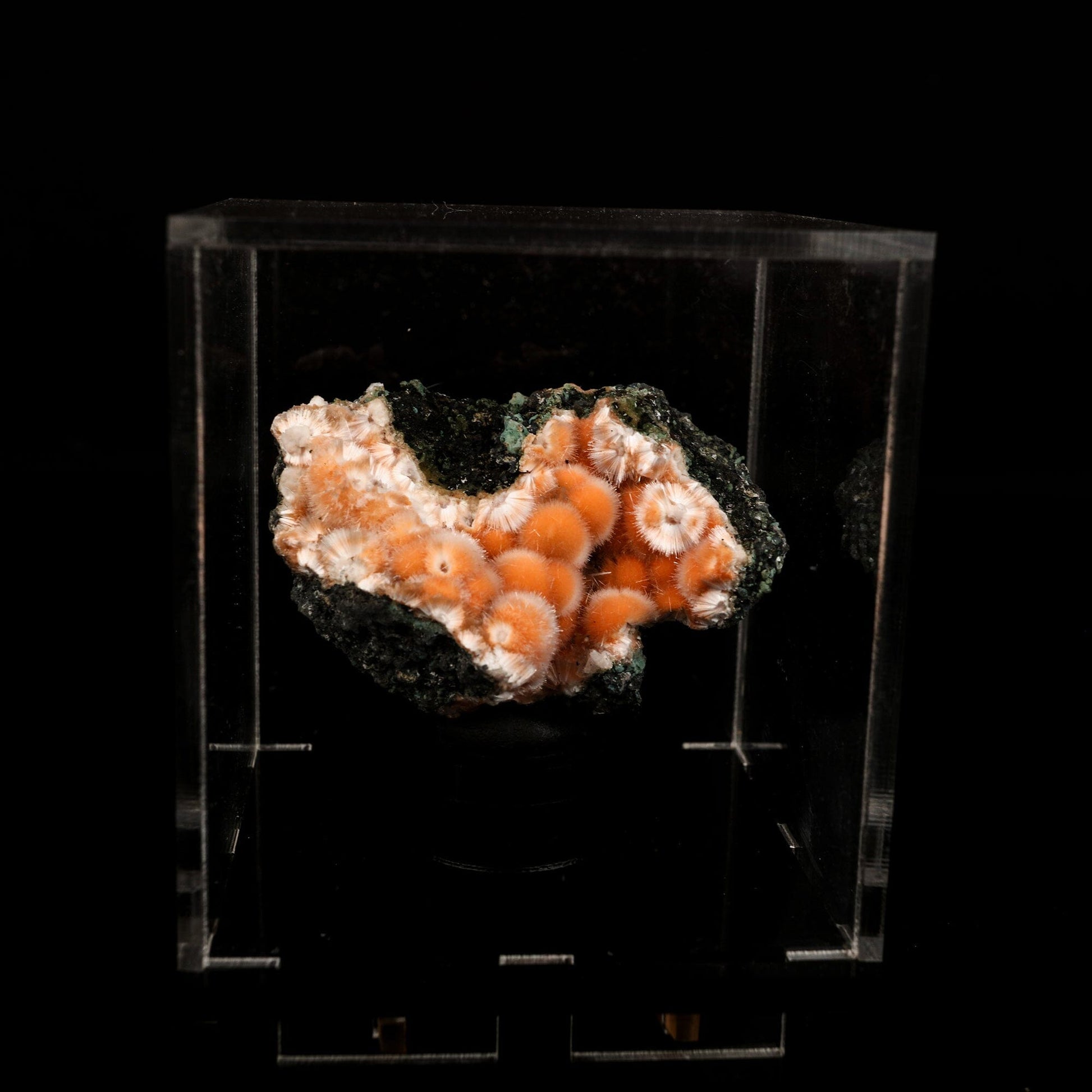 Thomsonite Orange Rare Find Natural Mineral Specimen # B 6640 Thomsonite Superb Minerals 