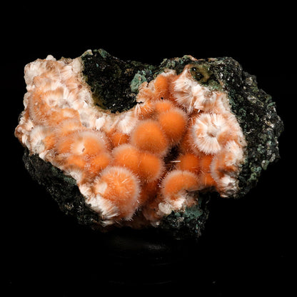 Thomsonite Orange Rare Find Natural Mineral Specimen # B 6640 Thomsonite Superb Minerals 