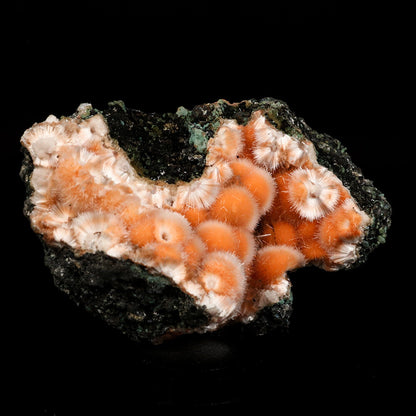 Thomsonite Orange Rare Find Natural Mineral Specimen # B 6640 Thomsonite Superb Minerals 