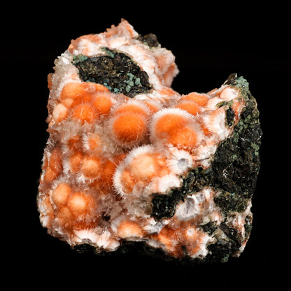 Thomsonite Orange Rare Find Natural Mineral Specimen # B 6644 Thomsonite Superb Minerals 