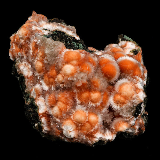 Thomsonite Orange Rare Find Natural Mineral Specimen # B 6644 Thomsonite Superb Minerals 