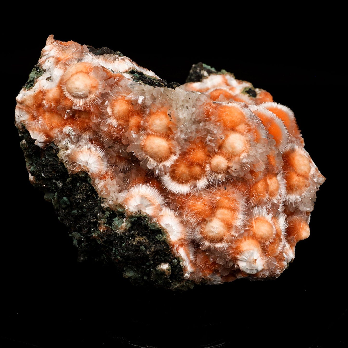 Thomsonite Orange Rare Find Natural Mineral Specimen # B 6644 Thomsonite Superb Minerals 