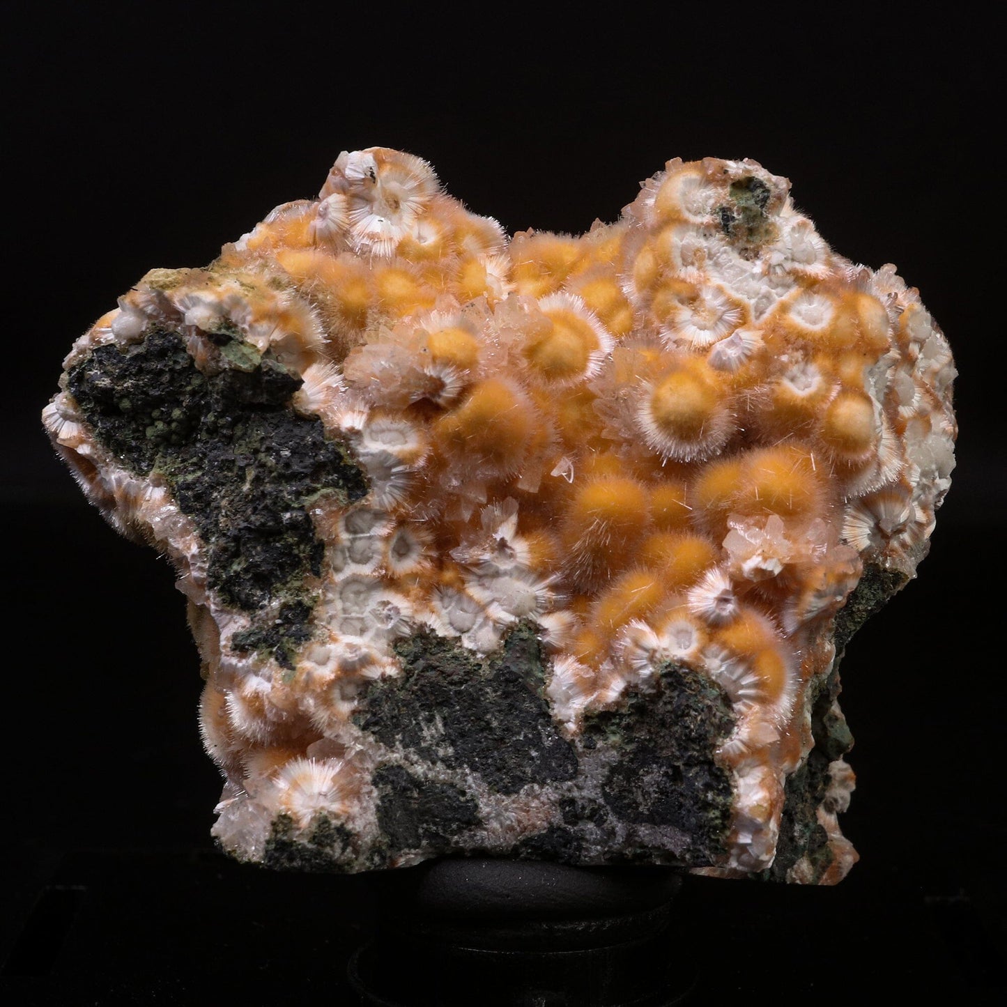 Thomsonite Orange Rare Find Natural Mineral Specimen # B 6721 Thomsonite Superb Minerals 