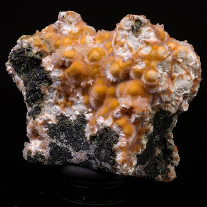 Thomsonite Orange Rare Find Natural Mineral Specimen # B 6721 Thomsonite Superb Minerals 