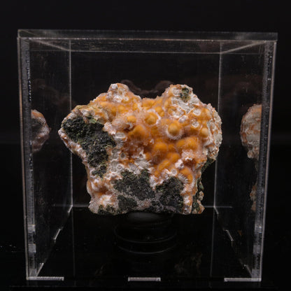 Thomsonite Orange Rare Find Natural Mineral Specimen # B 6721 Thomsonite Superb Minerals 