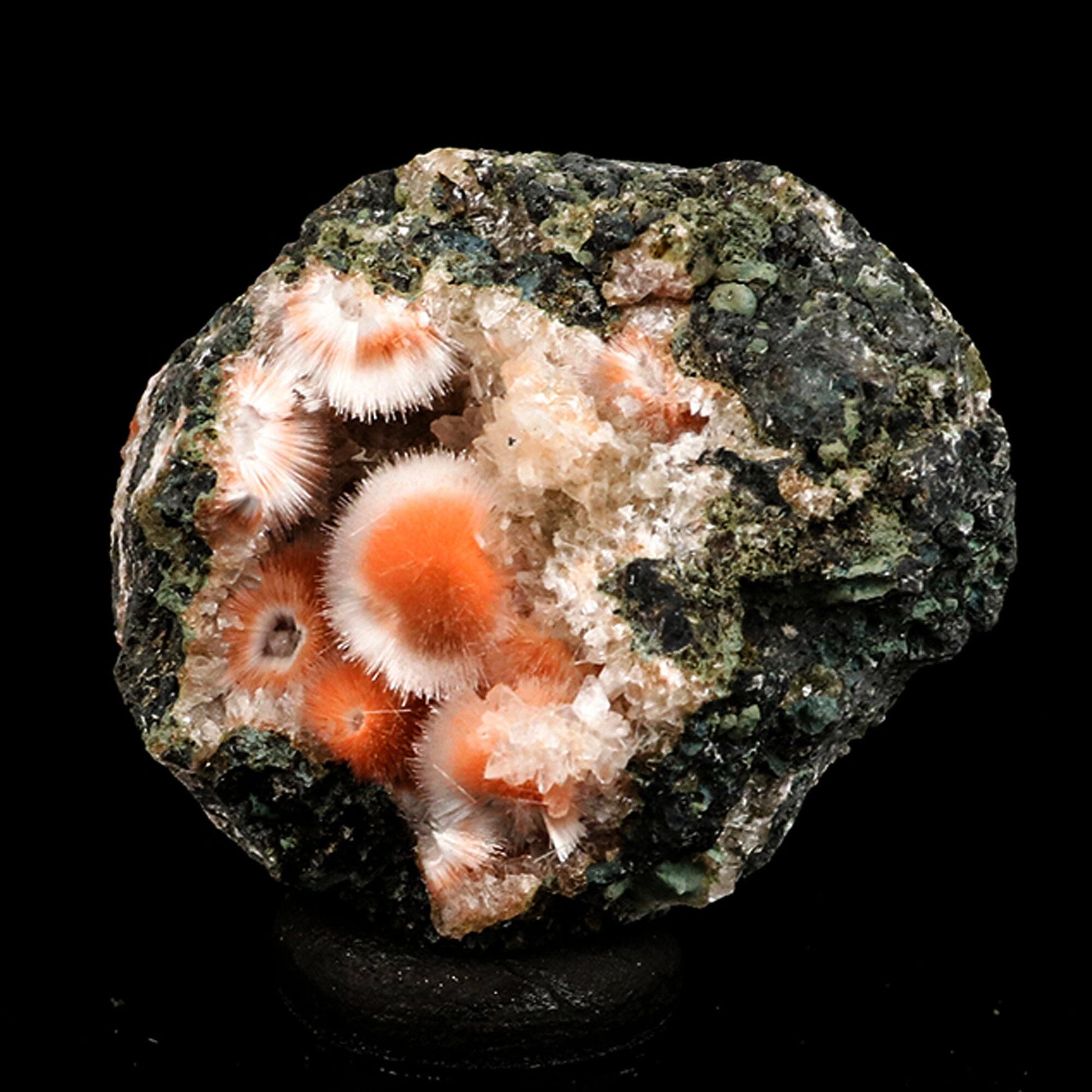 Thomsonite Orange Rare, Free Standing Natural Mineral Specimen # B 6682 Thomsonite Superb Minerals 