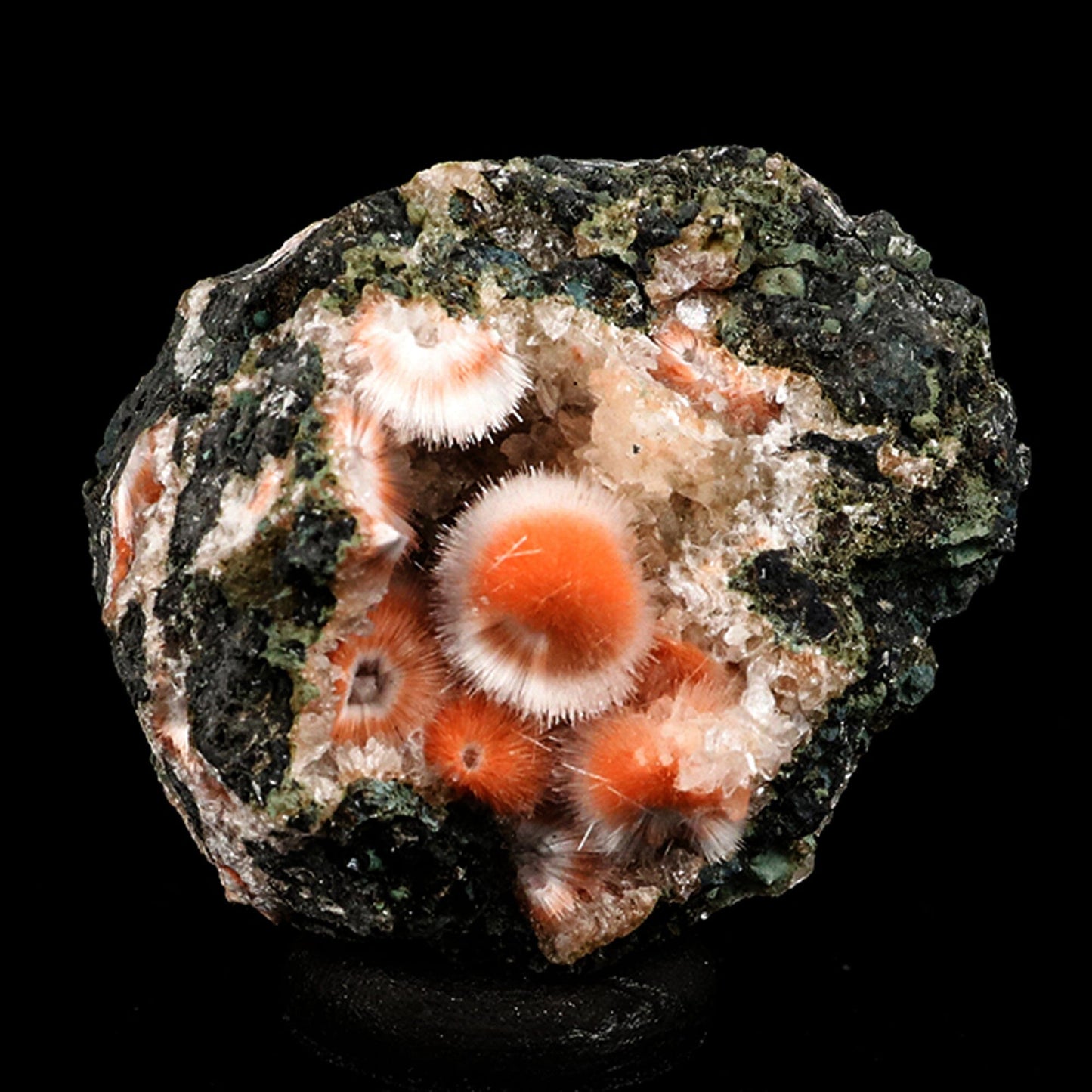 Thomsonite Orange Rare, Free Standing Natural Mineral Specimen # B 6682 Thomsonite Superb Minerals 