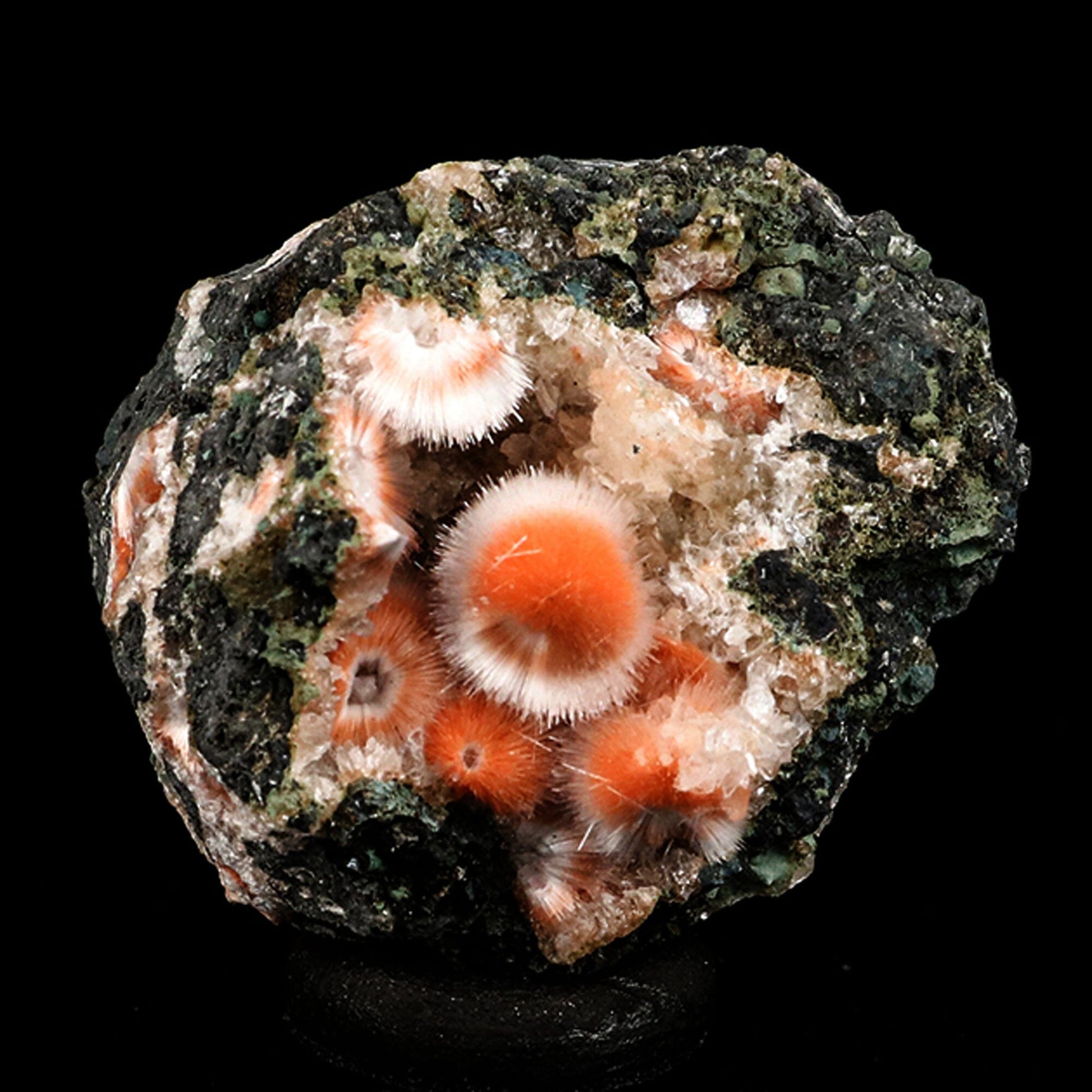 Thomsonite Orange Rare, Free Standing Natural Mineral Specimen # B 6682 Thomsonite Superb Minerals 
