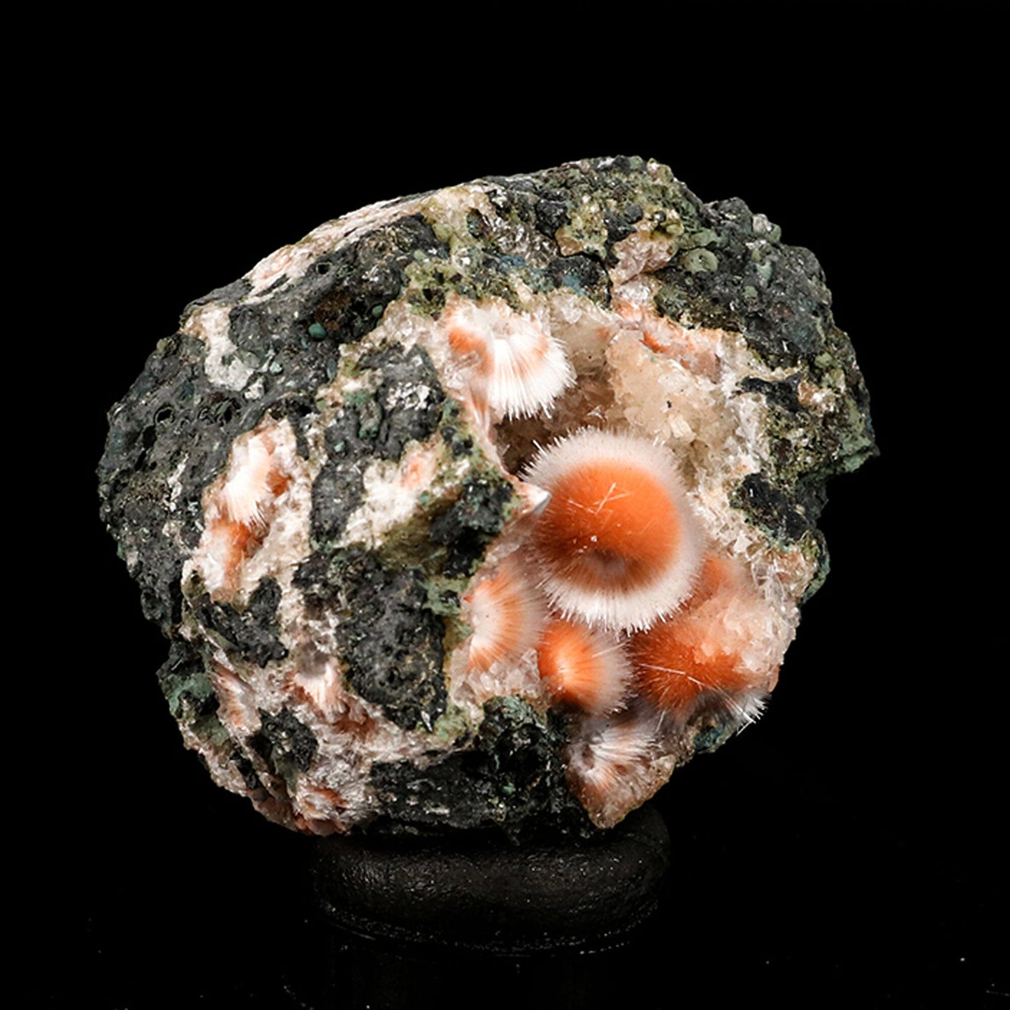 Thomsonite Orange Rare, Free Standing Natural Mineral Specimen # B 6682 Thomsonite Superb Minerals 