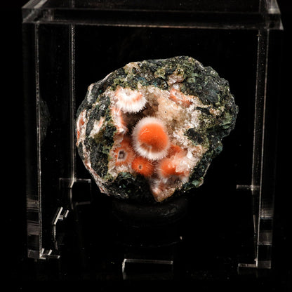 Thomsonite Orange Rare, Free Standing Natural Mineral Specimen # B 6682 Thomsonite Superb Minerals 