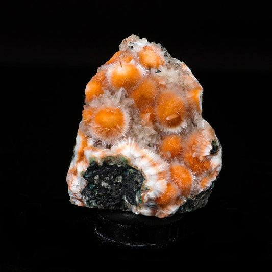 Thomsonite Orange Rare, Free Standing Natural Mineral Specimen # B 6701 Thomsonite Superb Minerals 