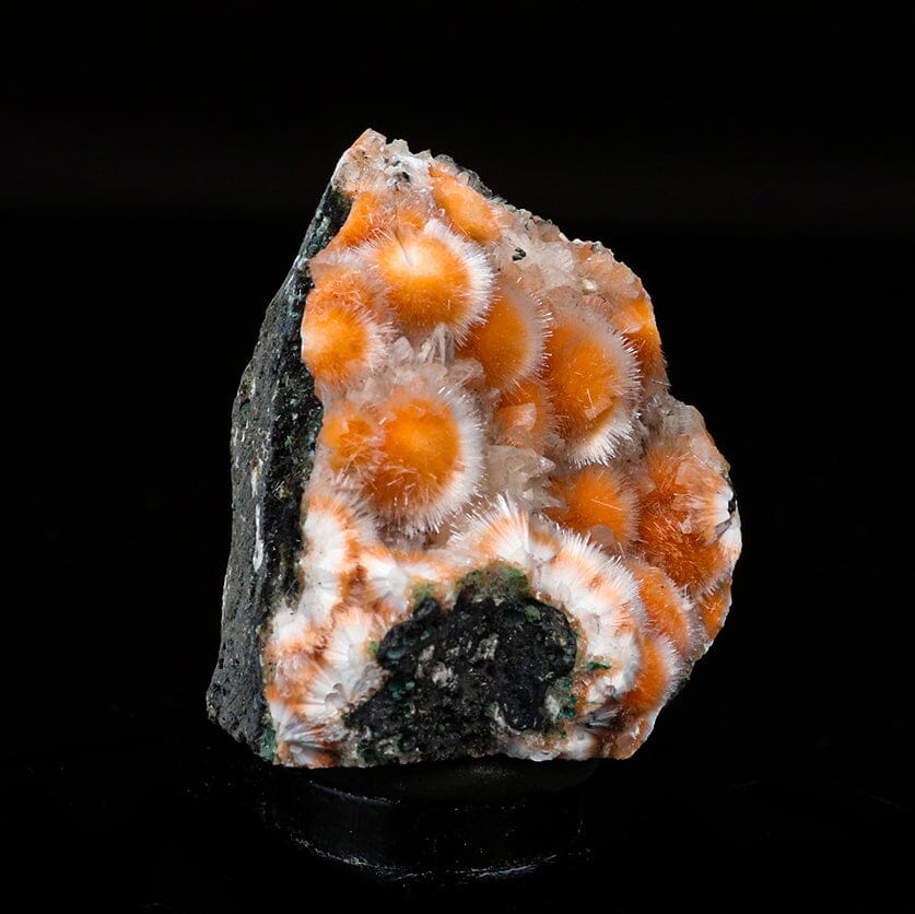 Thomsonite Orange Rare, Free Standing Natural Mineral Specimen # B 6701 Thomsonite Superb Minerals 
