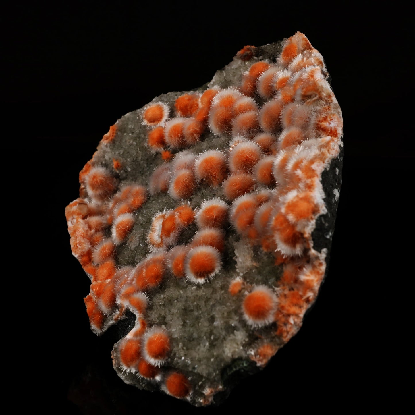 Dark orange thomsonite radial formations with hair-thin mesolite across the surface on a heulandite matrix.