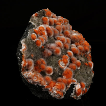 Dark orange thomsonite radial formations with hair-thin mesolite across the surface on a heulandite matrix.
