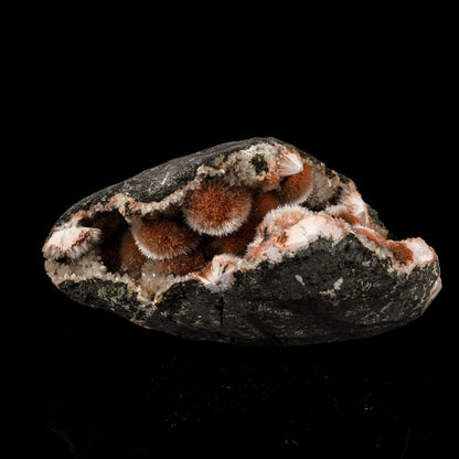 Thomsonite Pink Rare Find Natural Mineral Specimen # B 5873 Thomsonite Superb Minerals 