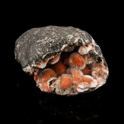 Thomsonite Pink Rare Find Natural Mineral Specimen # B 5873 Thomsonite Superb Minerals 